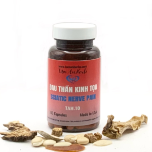 B. Đau Thần Kinh Tọa